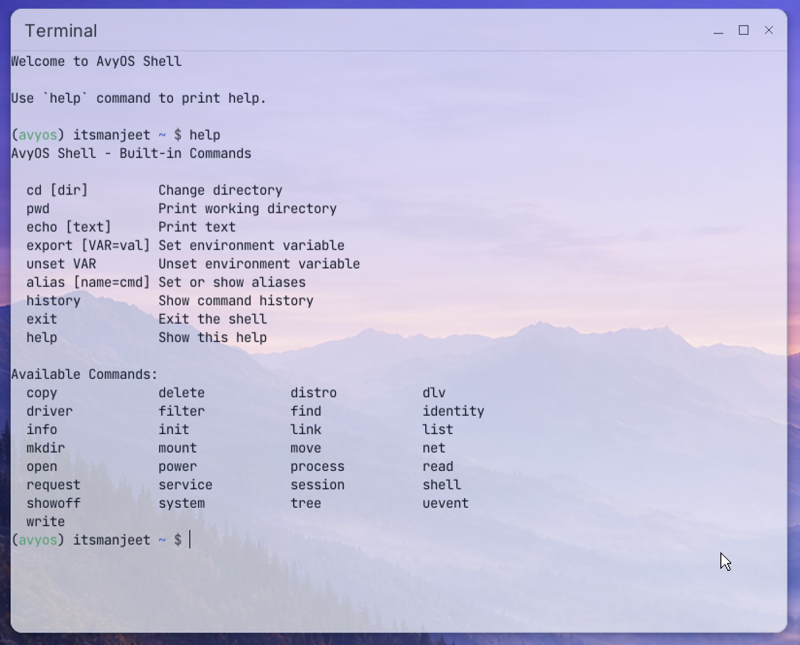 Terminal preview